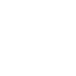 FAIZ LOGO H S F@0.25x